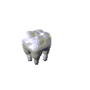 lekari-sestry_003.gif
