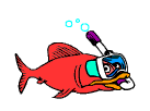 potapeci_020.gif