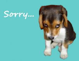 sorry